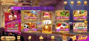Games Available In Rummy Rummy VIP Apk